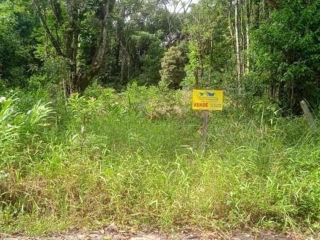 Terreno venda em Região Geográfica Imediata de Paranaguá, Guaratuba