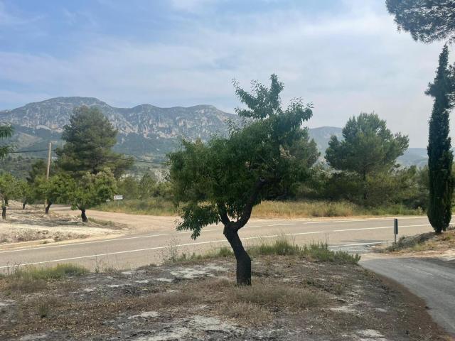 Terreno en venta en el Comtat, Valencia