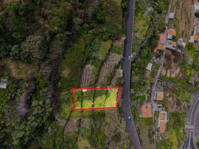 Terreno venda em Girão, Estreito Da Calheta