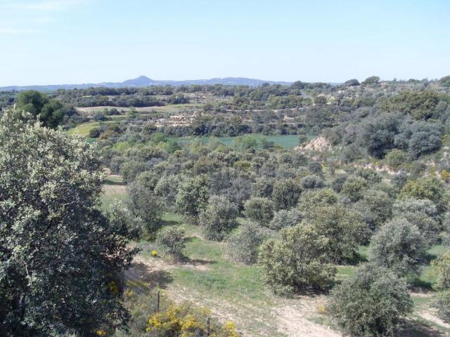 Terreno en venta en Cregenzán, Somontano de Barbastro