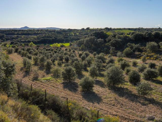 Terreno en venta en Cregenzán, Somontano de Barbastro