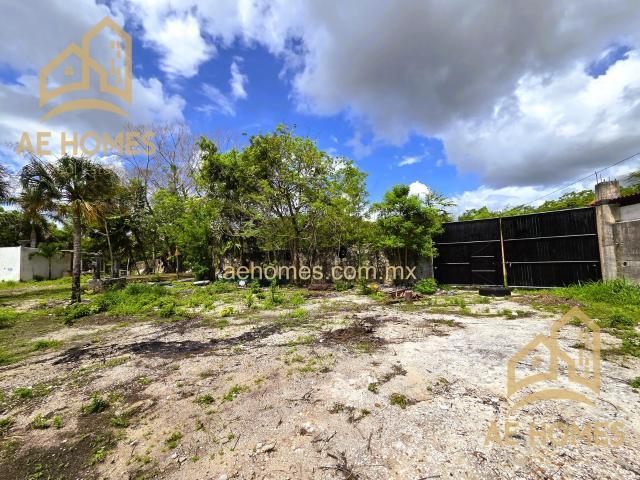 Terreno en renta en Benito Juárez, Quintana Roo
