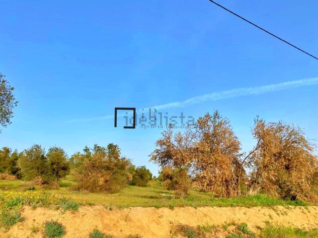 Terreno en venta en La Cruz del Portillo, Bargas