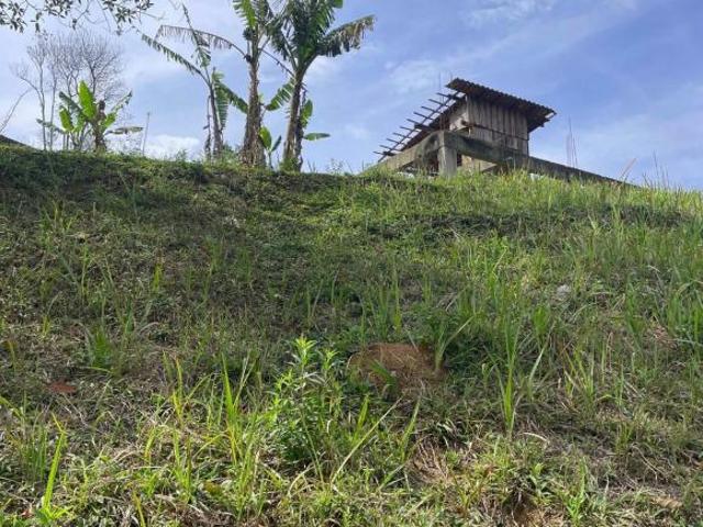 Terreno venda em Região Geográfica Imediata de Juiz de Fora, Bocaina de Minas