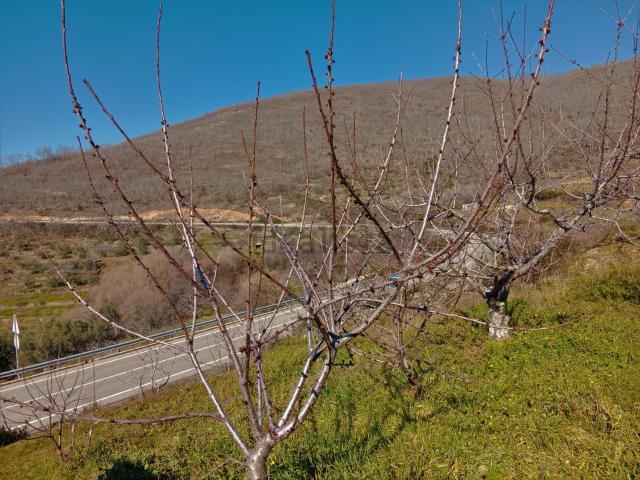 Terreno en venta en Arroyomolinos De La Vera, Extremadura