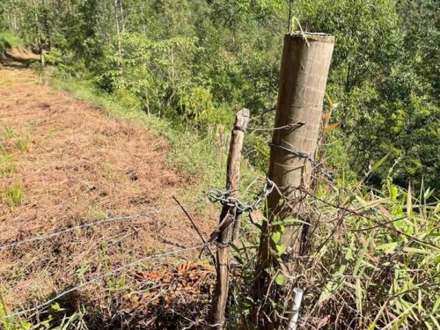 Terreno venda em Região Geográfica Imediata de Juiz de Fora, Bocaina de Minas