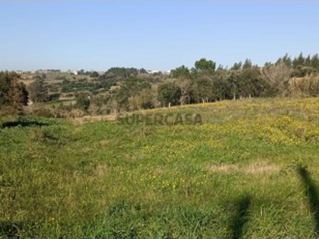 Terreno venda em Monte de Bois, Alcobaça