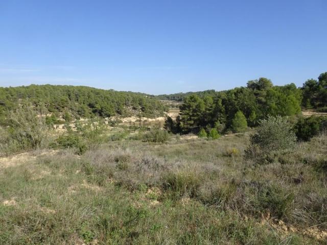 Terreno en venta en Terra Alta, Catalunya