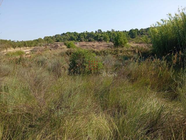 Terreno en venta en Terra Alta, Catalunya