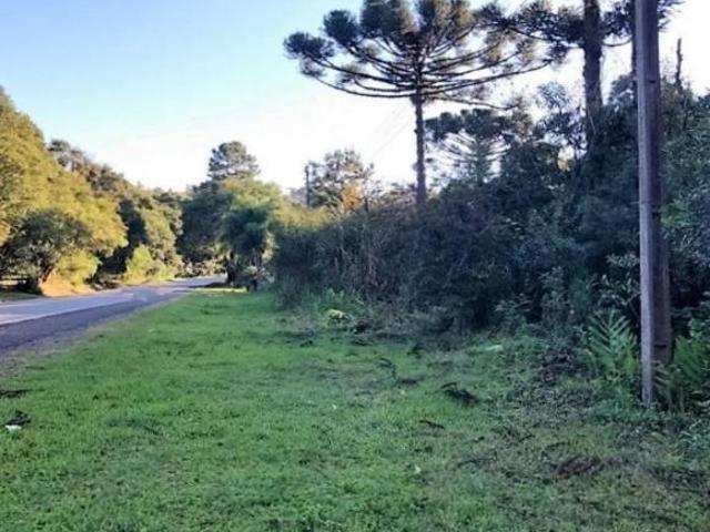 Terreno venda em Campo de Santo Antônio, Campo Magro
