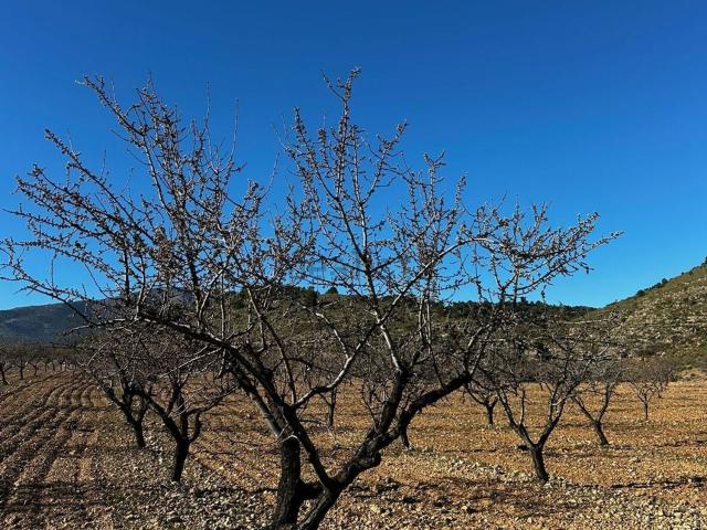 Terreno en venta en Loma de la Parra, Baza