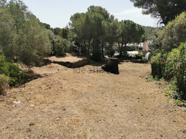 Terreno en venta en Urbanització Begues Park, Baix Llobregat