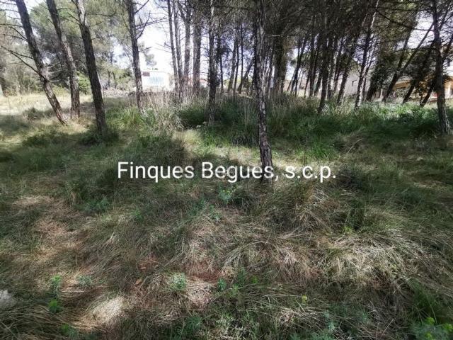 Terreno en venta en la Costeta, Baix Llobregat