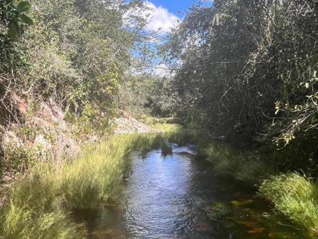 Sítio e chácara venda em Região Geográfica Imediata de Uruaçu - Niquelândia, Colinas do Sul