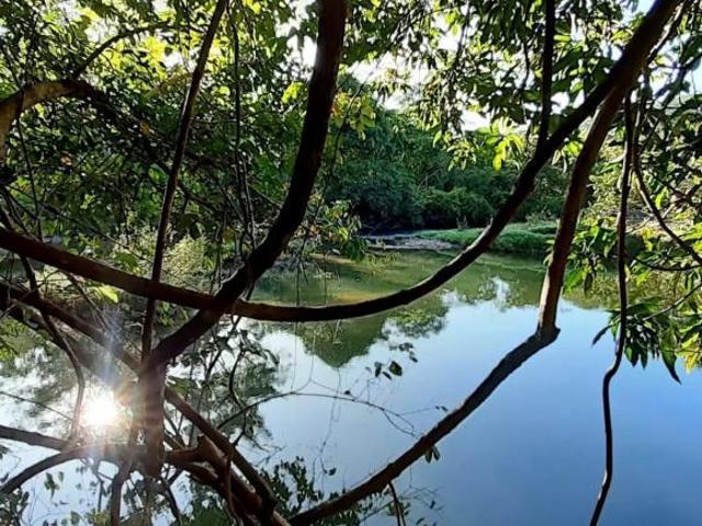 Sítio e chácara venda em Região Geográfica Imediata de Flores de Goiás, Alto Paraíso de Goiás