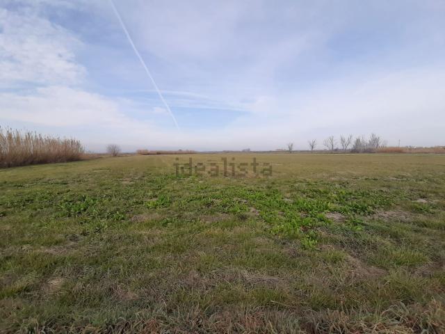 Terreno en venta en Pla d'Urgell, Catalunya