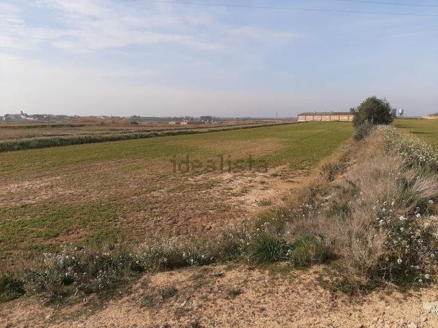 Terreno en venta en Pla d'Urgell, Catalunya