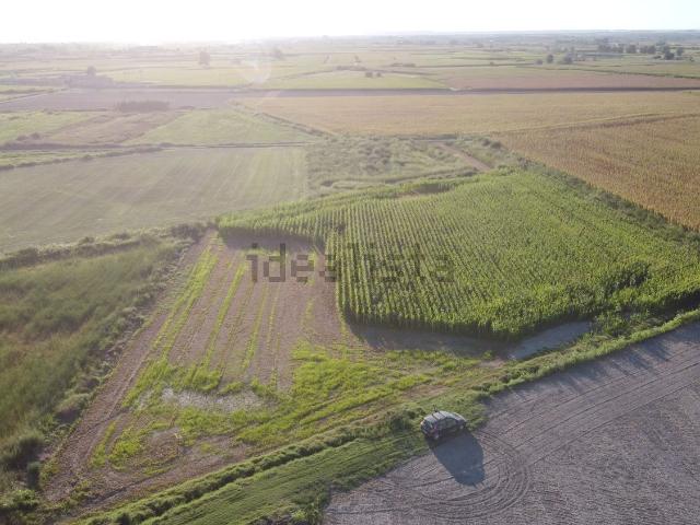 Terreno en venta en els Arcs, Bellvís