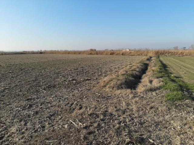 Terreno en venta en els Arcs, Bellvís