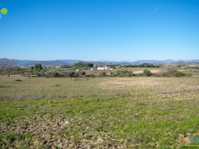 Terreno venda em Belmonte