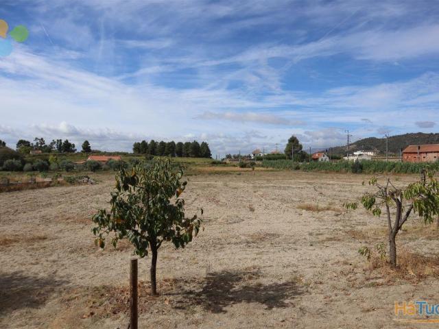 Terreno venda em Castelo Branco