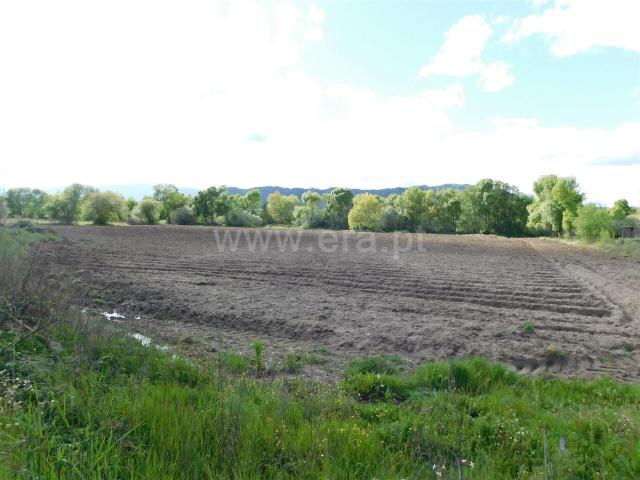 Terreno venda em Castelo Branco, Inguias