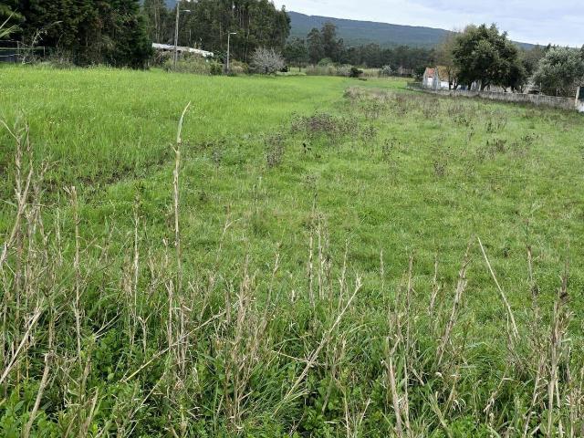 Terreno venda em Pederneira, Valado Dos Frades