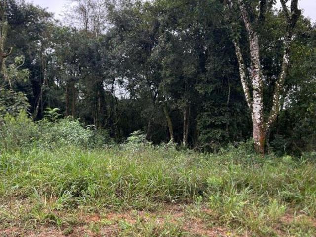 Terreno venda em Região Imediata de Sorocaba, Região Metropolitana de Sorocaba