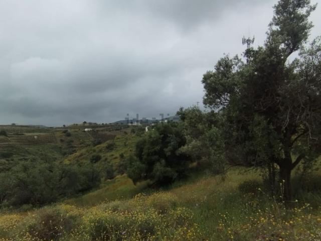 Terreno en venta en La Axarquía, Andalucía