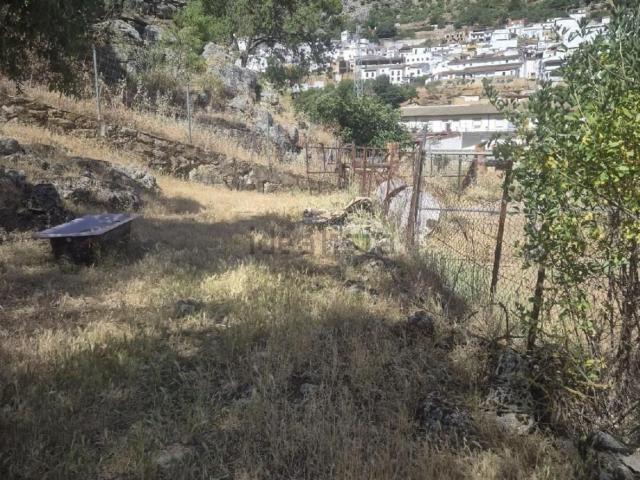 Terreno en venta en Benaoján, Málaga