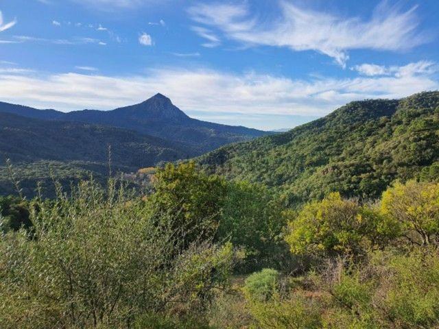 Terreno en venta en Serranía de Ronda, Andalucía