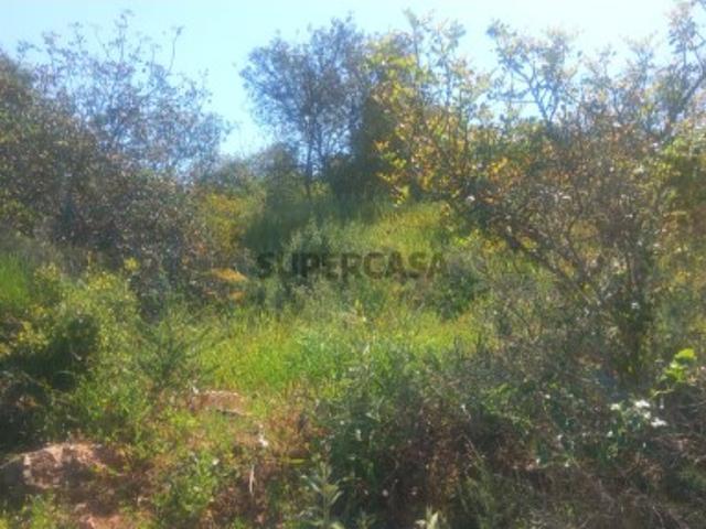 Terreno venda em Loulé, Faro
