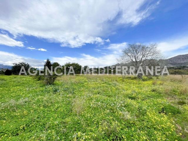 Terreno en venta en la Marina Alta, Valencia