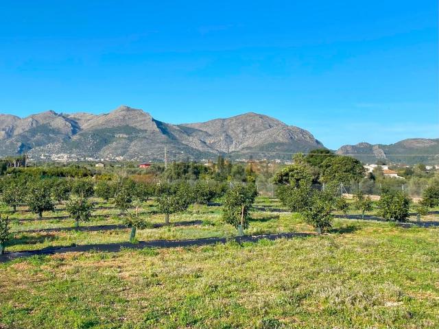 Terreno en venta en la Marina Alta, Valencia