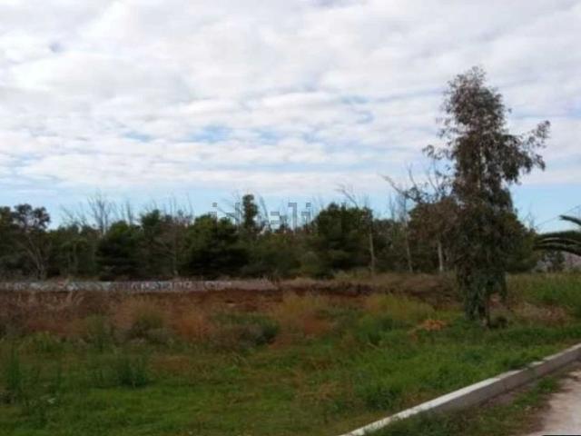 Terreno en venta en la Plana Alta, Valencia