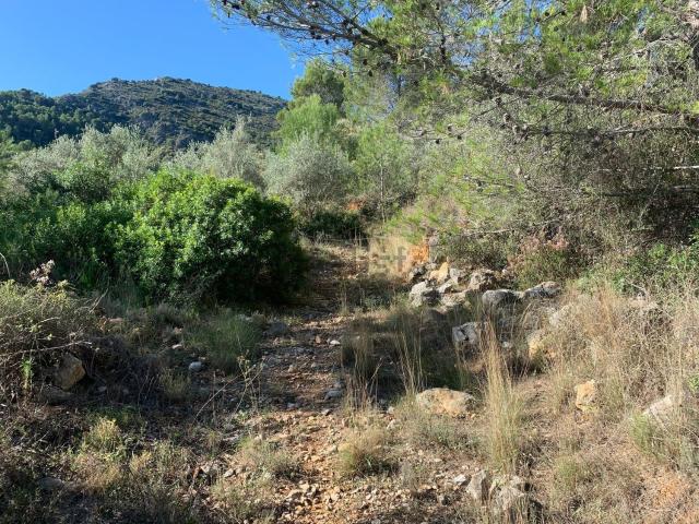 Terreno en venta en la Marina Alta, Valencia