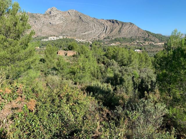 Terreno en venta en la Marina Alta, Valencia