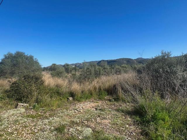 Terreno en venta en la Marina Alta, Valencia