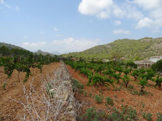 Terreno en venta en la Marina Alta, Valencia