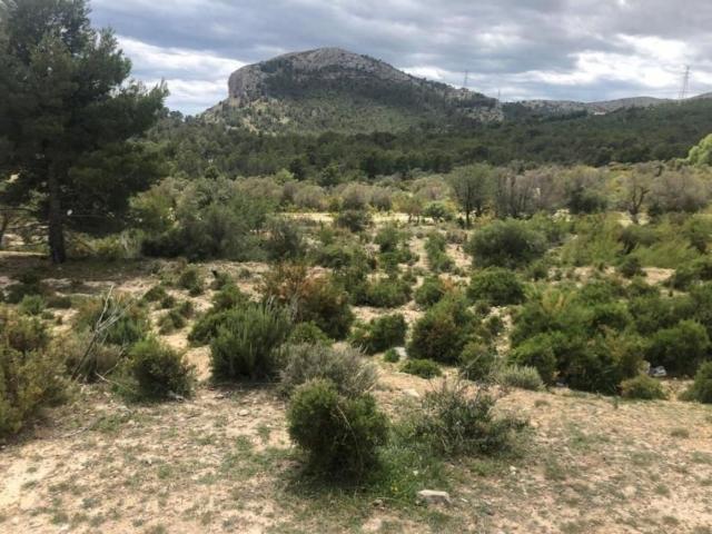 Terreno en venta en Barranc Fondo, La Nucia