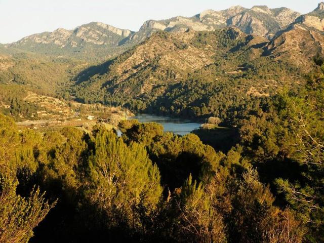 Terreno en venta en Baix Ebre, Catalunya