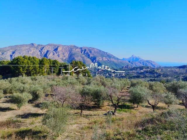 Terreno en venta en la Marina Baixa, Valencia