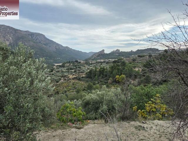Terreno en venta en la Marina Baixa, Valencia
