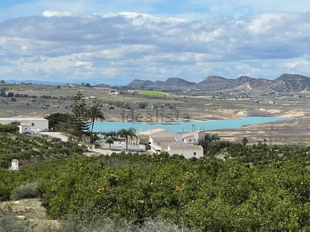 Terreno en venta en el Baix Segura / La Vega Baja, Valencia