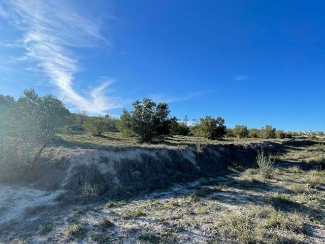 Terreno en venta en el Comtat, Valencia