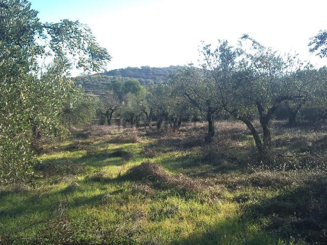 Terreno en venta en el Comtat, Valencia