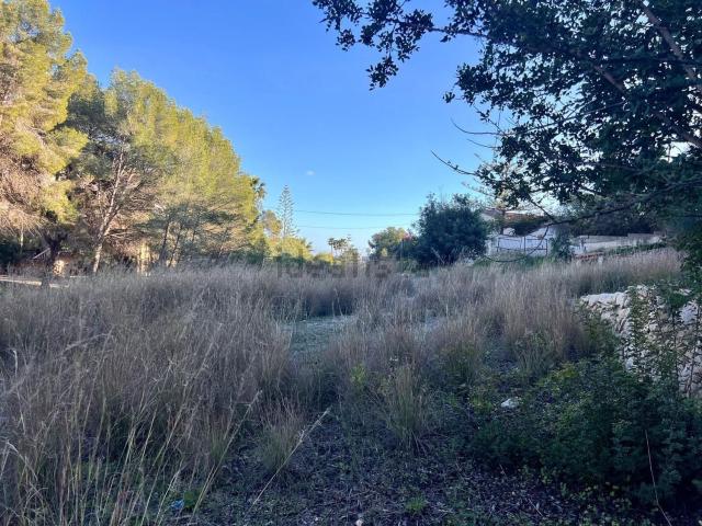 Terreno en venta en Buenavista - Cala Advocat, la Marina Alta