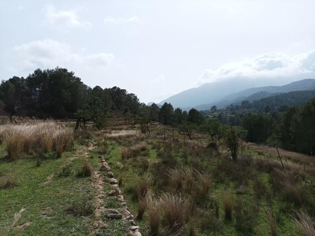 Terreno en venta en la Marina Alta, Valencia