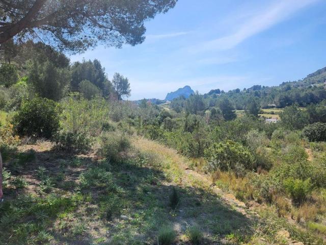 Terreno en venta en la Marina Alta, Valencia