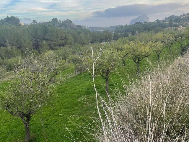 Terreno en venta en Urbanització Les Cometes, la Marina Alta